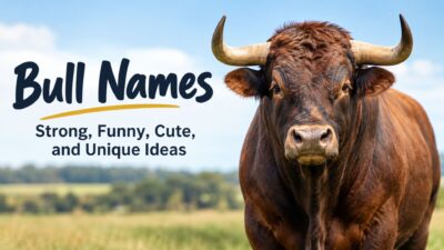 Bull names featuring a powerful brown bull with the text “Strong, Funny, Cute, and Unique Ideas”